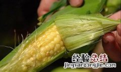 玉米须可以长期喝吗 不正确饮用的情况下可出现的危害