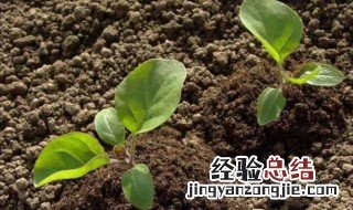 植物生长调节剂的定义 植物生长调节剂的定义及特点