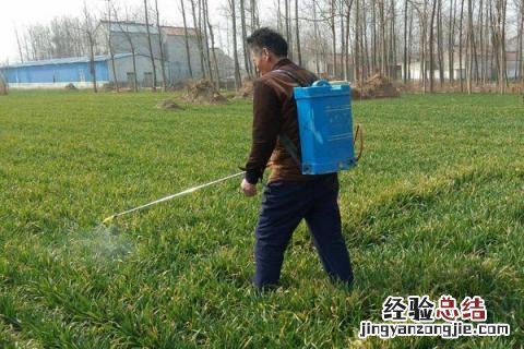 烯草酮除草剂特点 烯草酮除草剂特点什么菜上打