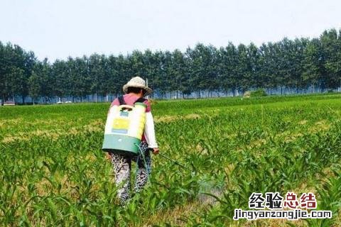 烯草酮除草剂特点 烯草酮除草剂特点什么菜上打