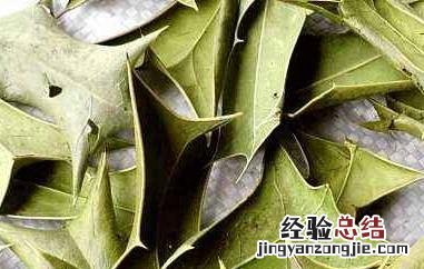 八角茶是什么茶种 八角茶是什么茶