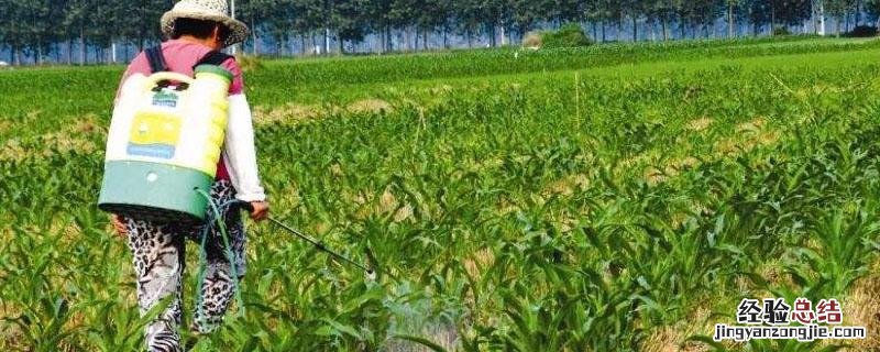 除草剂进入土里后还有毒性吗 打过除草剂的土有毒吗