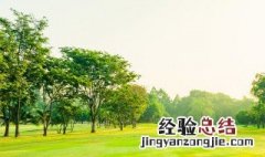 睹物思人触景伤情的意思 睹物思人触景伤情怎么理解