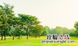 睹物思人触景伤情的意思 睹物思人触景伤情怎么理解