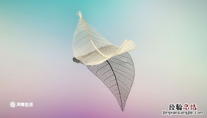 若无其事造句 若无其事造句二年级