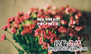 摩羯座女生的专属花 摩羯座的星座花