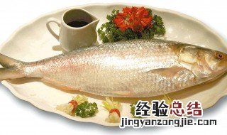 鳓鱼家常做法 鲥鱼的家常做法