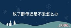 放酵母不发酵怎么办 放了酵母还是不发怎么办