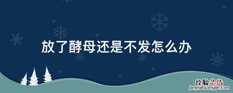 放酵母不发酵怎么办 放了酵母还是不发怎么办