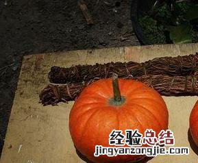 南瓜的药用价值和功效 南瓜的药用价值