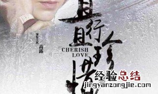 赵斯文程紫月是哪部电视剧人物 电视剧简介内容
