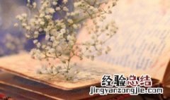 1月你好早安心语 早安1月你好朋友圈语录