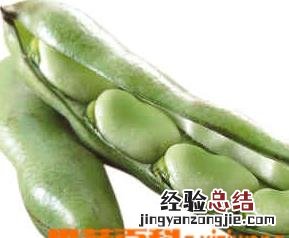 蚕豆冷冻方法 蚕豆冷冻方法图解