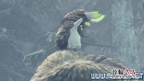 怪物猎人世界冰原兽缠族任务怎么做 怪物猎人冰原兽缠族支线