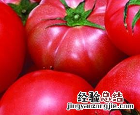 露天种植西红柿管理技术 春季露天西红柿的种植技术