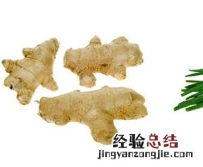 根茎类蔬菜图 根茎类蔬菜图谱