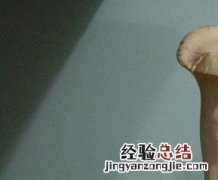 杏鲍菇的烹饪方法 杏鲍菇的烹饪法