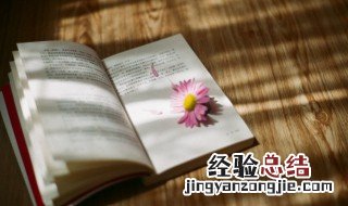 名言和格言的区别是什么先说名言的意思 名言和格言的区别有哪些