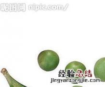 豌豆的药用价值 豌豆的药用价值有哪些