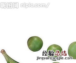 豌豆的药用价值 豌豆的药用价值有哪些