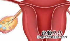 卵巢保养新方法 卵巢保养新方法的妙招