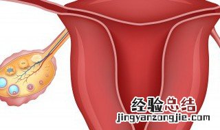 卵巢保养新方法 卵巢保养新方法的妙招