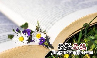 襟裾怎么读音 襟裾读法