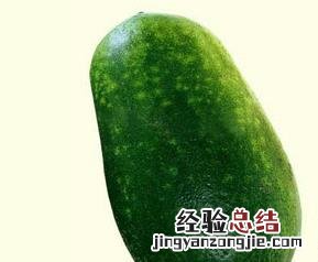 什么丝瓜品种最好 什么丝瓜品种最好看