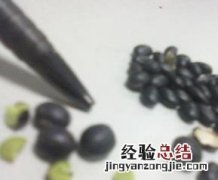 黑芸豆的功效和吃法和禁忌 黑芸豆的功效和吃法