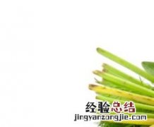 蔬菜的功效与图片 蔬菜的功效与图片大全