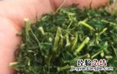 经常喝相思茶对身体会不会怎么样 相思茶什么人不能喝