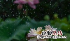 黄梅时节家家雨的下一句 黄梅时节家家雨的原文及翻译