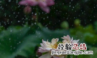 黄梅时节家家雨的下一句 黄梅时节家家雨的原文及翻译