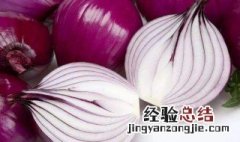 夏天除湿的食物有哪些 夏季除湿吃什么好