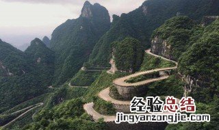 高山深处不胜寒 高处不胜寒是什么茶