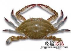 梭子蟹为什么有三疣 食用三疣梭子蟹的注意事项