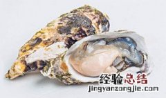 开生蚝的小窍门 用小刀撬生蚝是开生蚝壳最快的