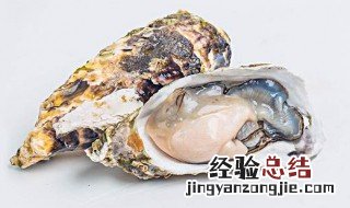 开生蚝的小窍门 用小刀撬生蚝是开生蚝壳最快的