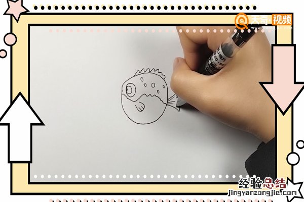 海豚简笔画 河豚简笔画