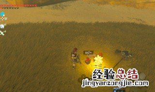 塞尔达荒野之息和旷野之息有什么区别 塞尔达荒野之息和旷野之息区别在哪里