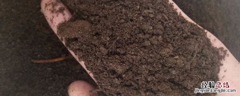 羊粪肥效持续多久 羊粪多少天施肥一次