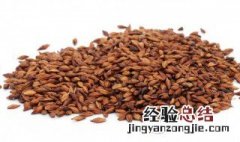 大麦茶功效 大麦茶功效是什么