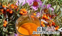沙棘如何食用 沙棘怎样食用
