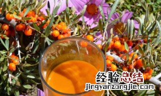沙棘如何食用 沙棘怎样食用