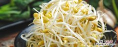 怎么制作豆芽菜 怎样生产豆芽菜，如何制作豆芽菜