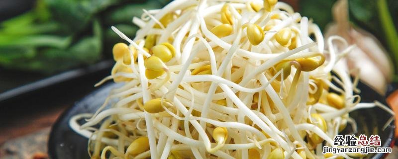 怎么制作豆芽菜 怎样生产豆芽菜，如何制作豆芽菜