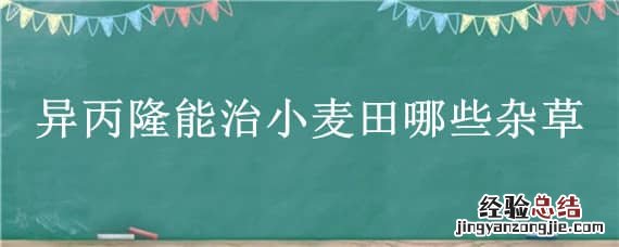 异丙隆能治小麦田哪些杂草 异丙隆对小麦的药害图
