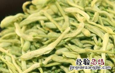 千金茶有什么作用 千金花茶的功效与作用