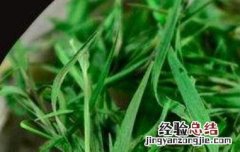 石竹茶的功效与作用及禁忌 石竹茶的功效与作用