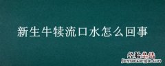 新生牛犊流口水怎么回事 新生牛犊流口水和鼻涕怎么回事